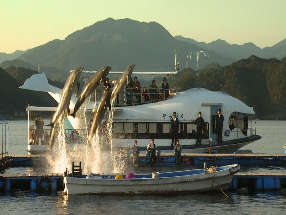 People watch from a boat and a dock as dolphins jump in the air. Mountains rise in the background.