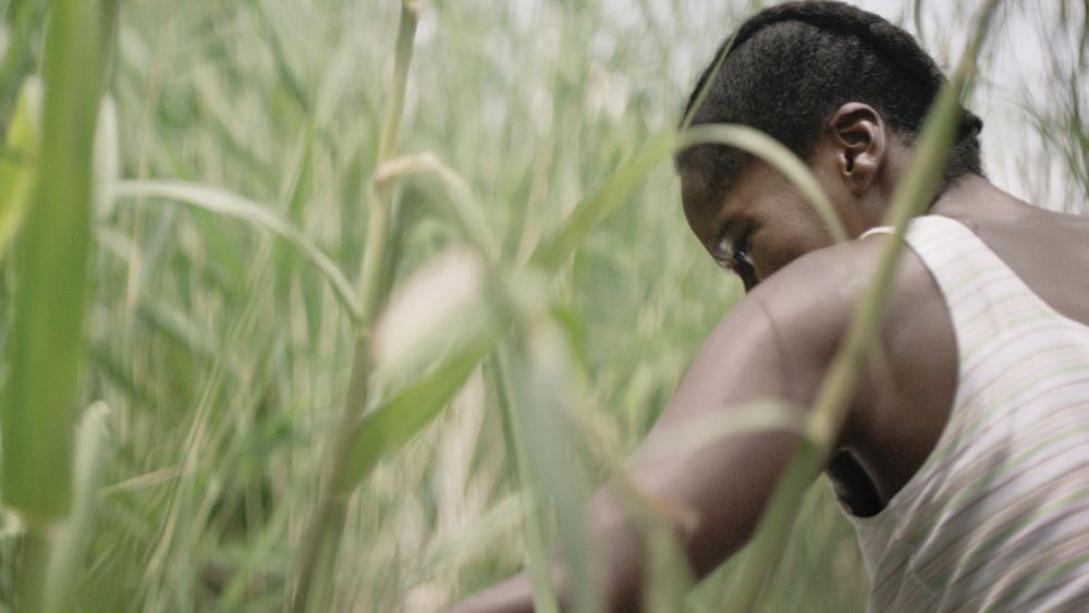 Woman of color working in a field