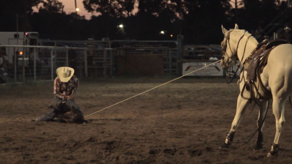 A white horse keeps the rope taut to a calf, as a cowboy in a light-colored hat, secures him