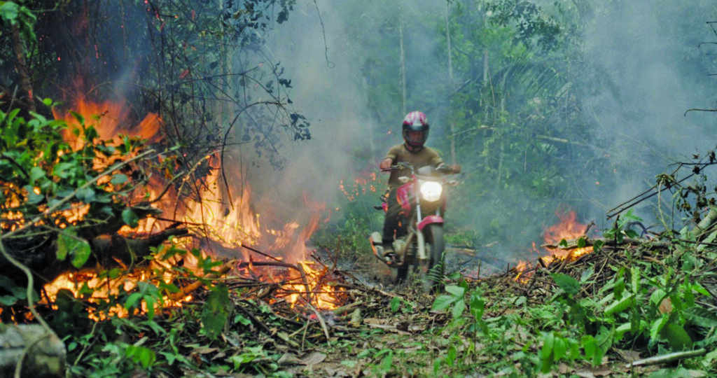 A helmeted person on a motorbike rides through burning foliage.