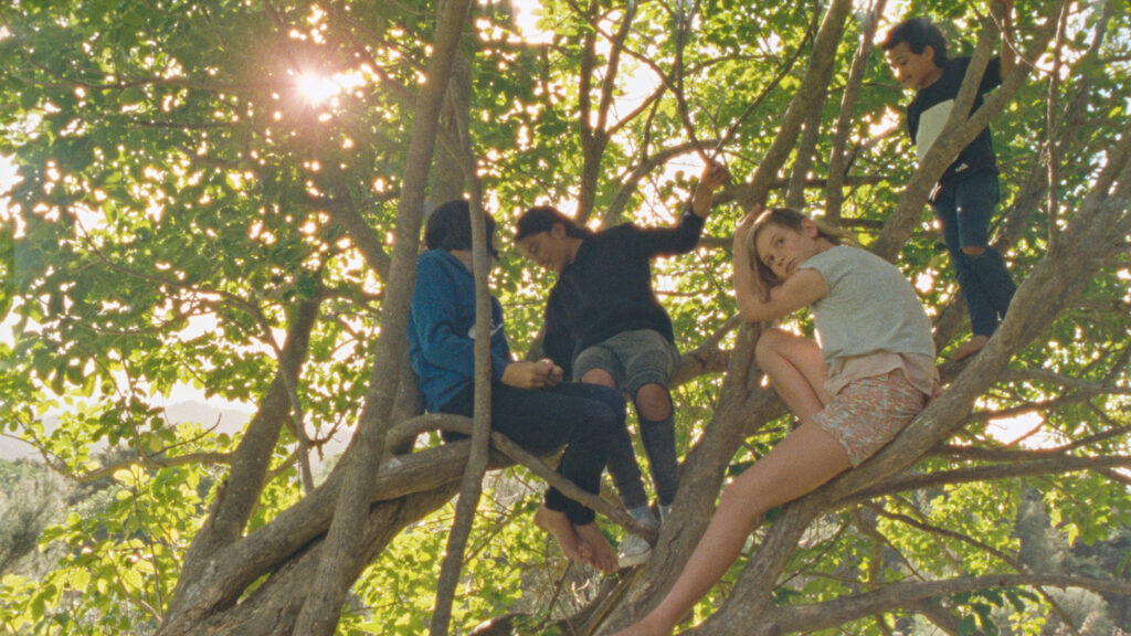 Several kids in the branches of a tree