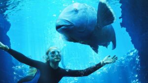 An underwater scene with a young woman in snorkeling gear observing a large fish