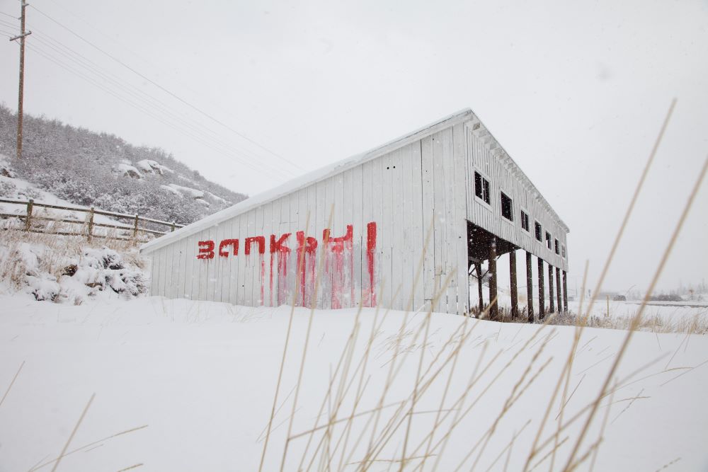 A white barn-like outbuilding on a snowy hill, a fence asnd utility pole behind it, and B-a-n-k-s-y spelled in bright red letters on the side, with red vertical streaks of red paint from the latter part of the name