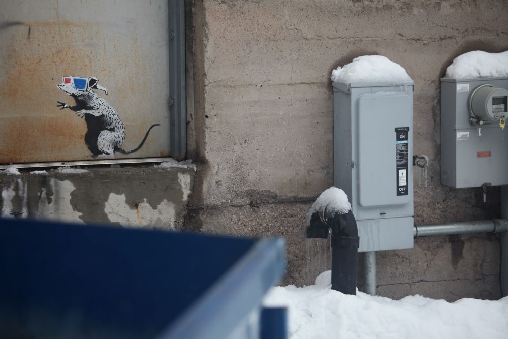 Painting of a rat wearing 3D glasses on the lower part of an exterior door, amid utility boxes, snow, and what appears to be as trash bin