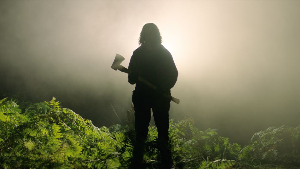 Silhouette of a person holding a large ax, standing among ferns