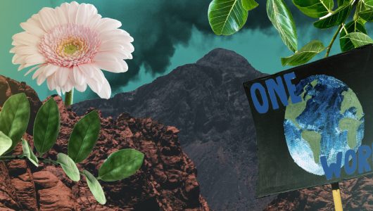 Master Class_Jessie Keyt_Carousel